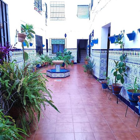 La Casa Del Patio En Pleno San Lorenzo Кордова Экстерьер фото